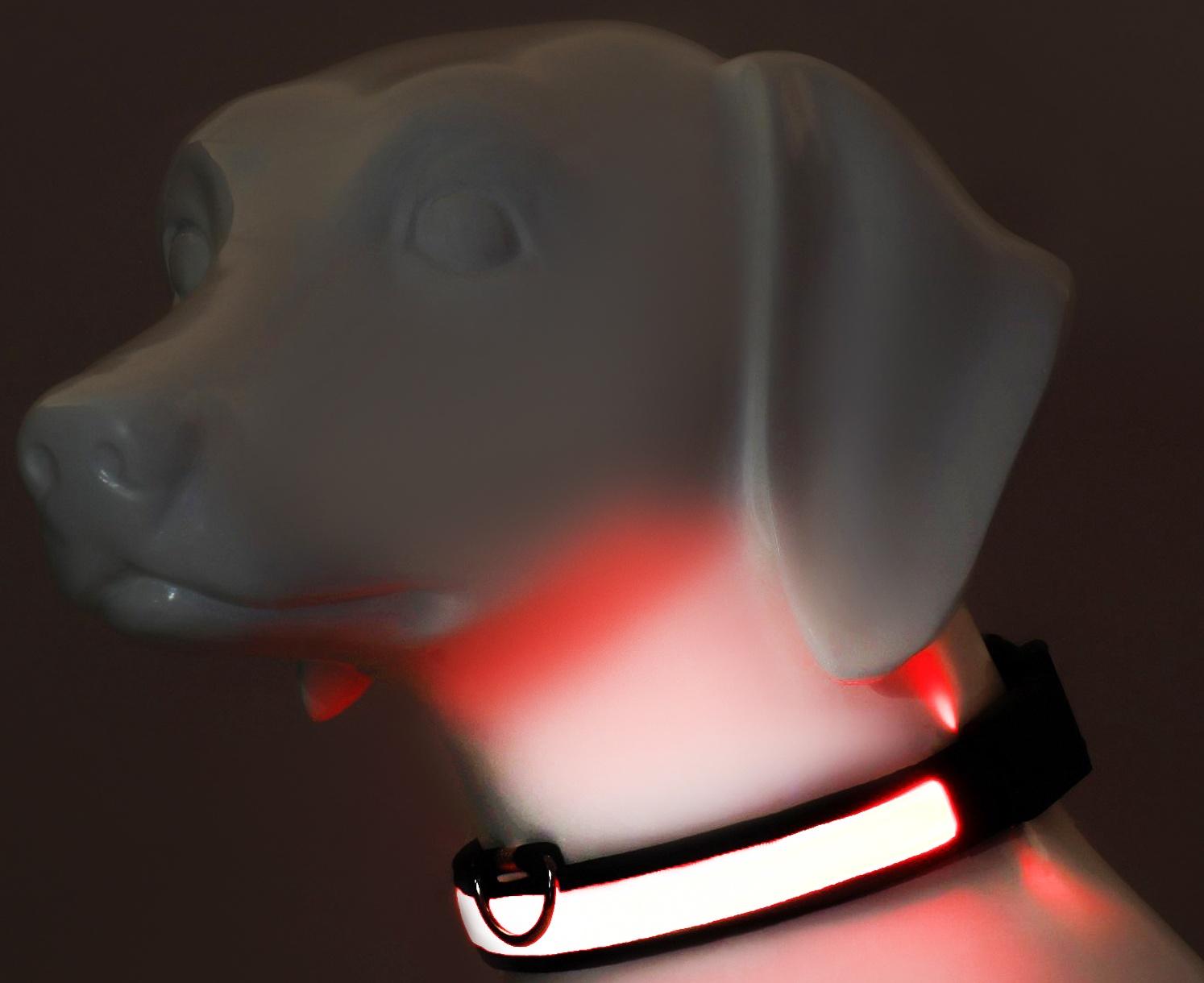 Ошейник с подсветкой Flash 3 режима свечения, размер М, ОШ 40-48 х 2,5 см, красный