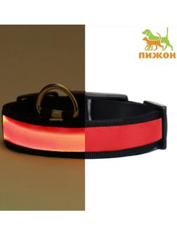Ошейник с подсветкой Flash 3 режима свечения, размер М, ОШ 40-48 х 2,5 см, красный
