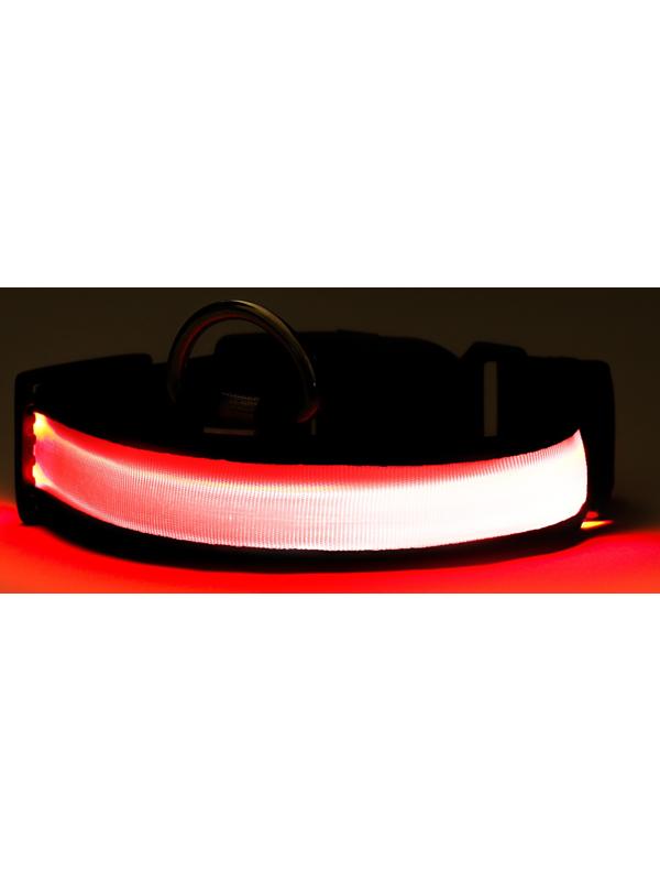 Ошейник с подсветкой Flash 3 режима свечения, размер М, ОШ 40-48 х 2,5 см, красный