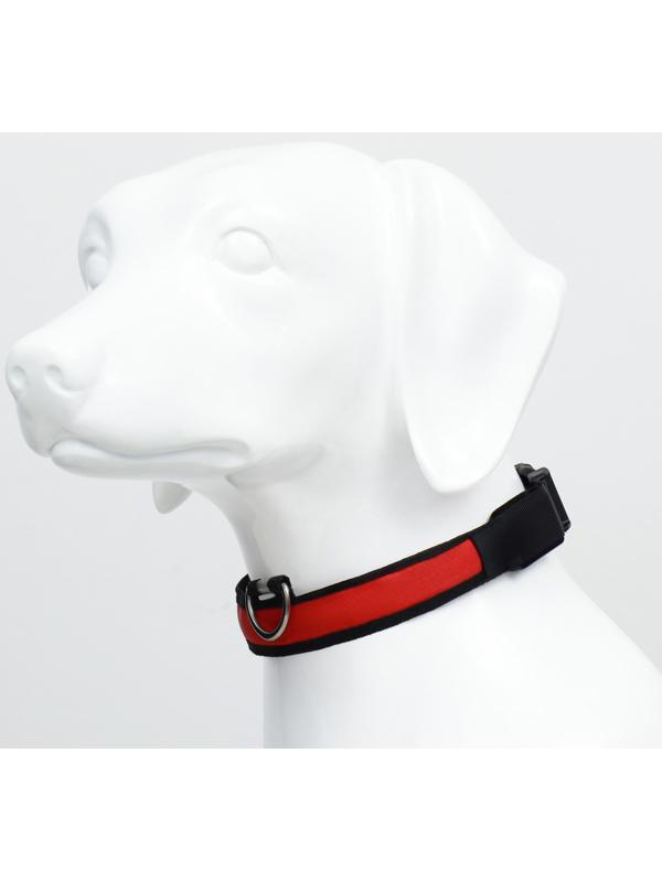 Ошейник с подсветкой Flash 3 режима свечения, размер М, ОШ 40-48 х 2,5 см, красный