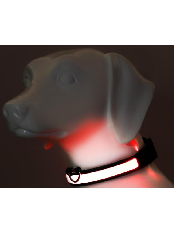 Ошейник с подсветкой Flash 3 режима свечения, размер М, ОШ 40-48 х 2,5 см, красный