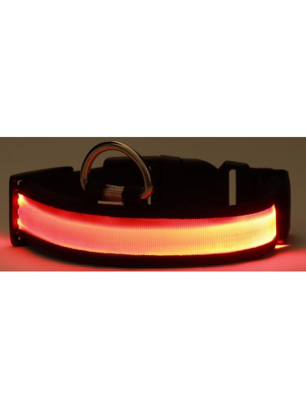 Ошейник с подсветкой Flash 3 режима свечения, размер М, ОШ 40-48 х 2,5 см, красный