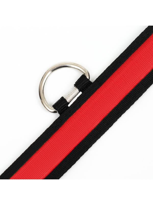 Ошейник с подсветкой Flash 3 режима свечения, размер М, ОШ 40-48 х 2,5 см, красный