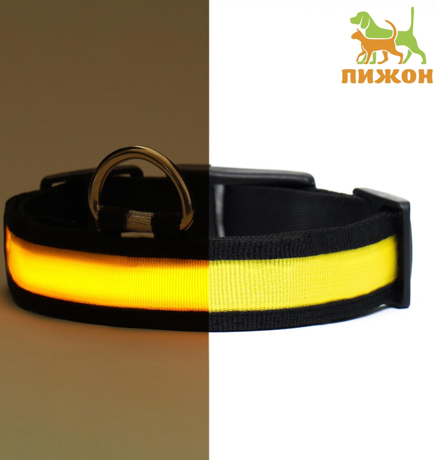 Ошейник с подсветкой Flash 3 режима свечения, размер XL, ОШ 52-60 х 2,5 см жёлтый