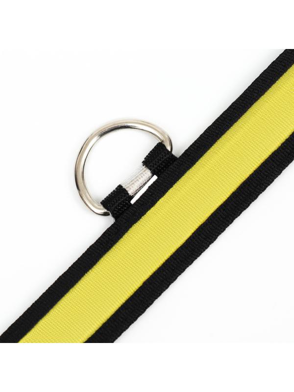 Ошейник с подсветкой Flash 3 режима свечения, размер XL, ОШ 52-60 х 2,5 см жёлтый