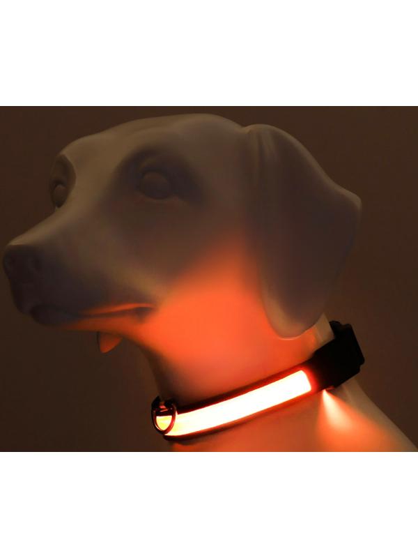 Ошейник с подсветкой Flash 3 режима свечения, размер XL, ОШ 52-60 х 2,5 см жёлтый