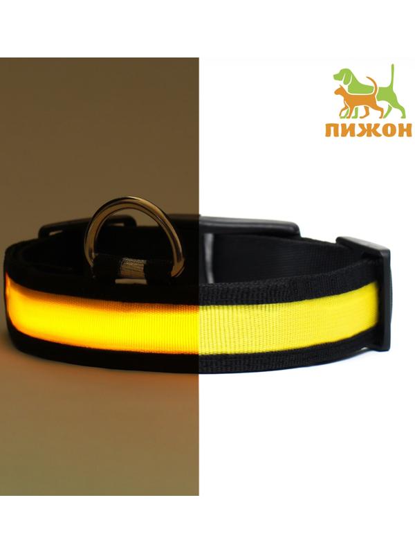 Ошейник с подсветкой Flash 3 режима свечения, размер XL, ОШ 52-60 х 2,5 см жёлтый