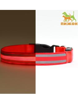 Ошейник с подсветкой Двойная полоса размер XL, ОШ 52-60 х 2,5 см, 3 режима свечения красный 97722