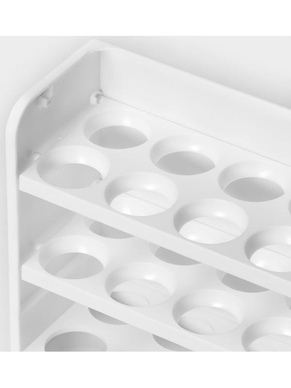 Контейнер для яиц, 30 ячеек, 25×10×19,5 см, цвет белый