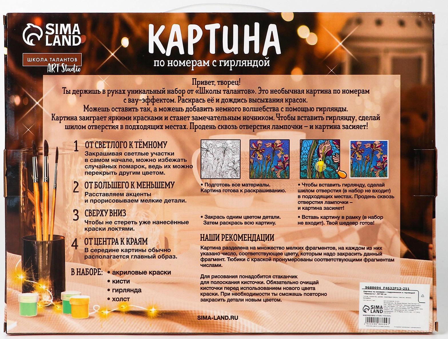 Картина по номерам с подрамником и гирляндой «Замок», 30 х 40 см