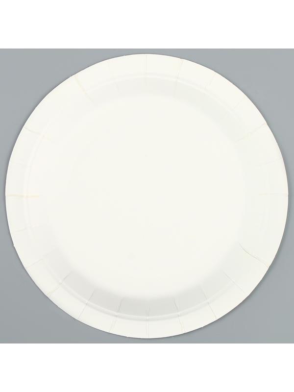 Тарелки бумажные «С днём рождения» с цветочками, 6 шт.