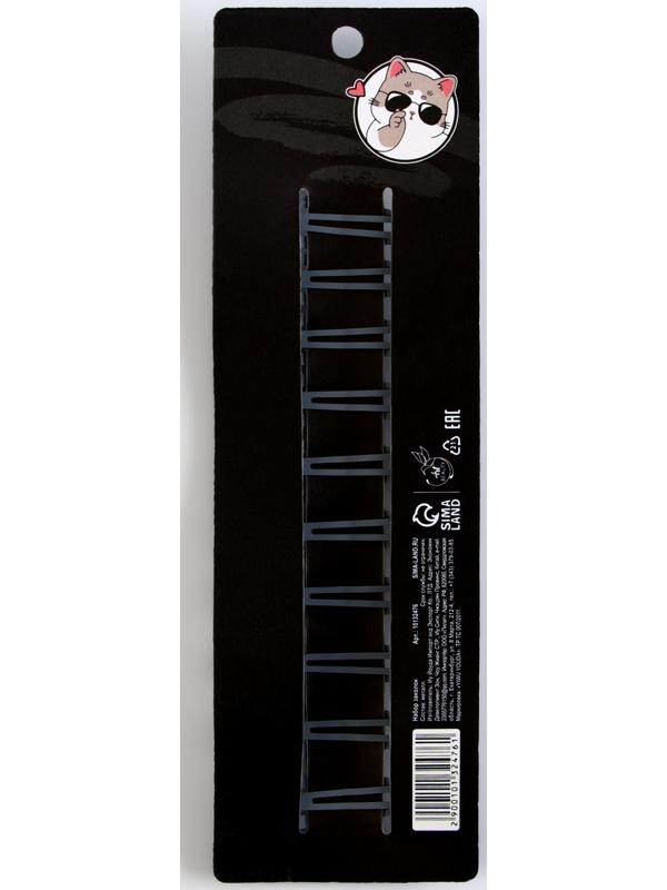 Набор заколок 