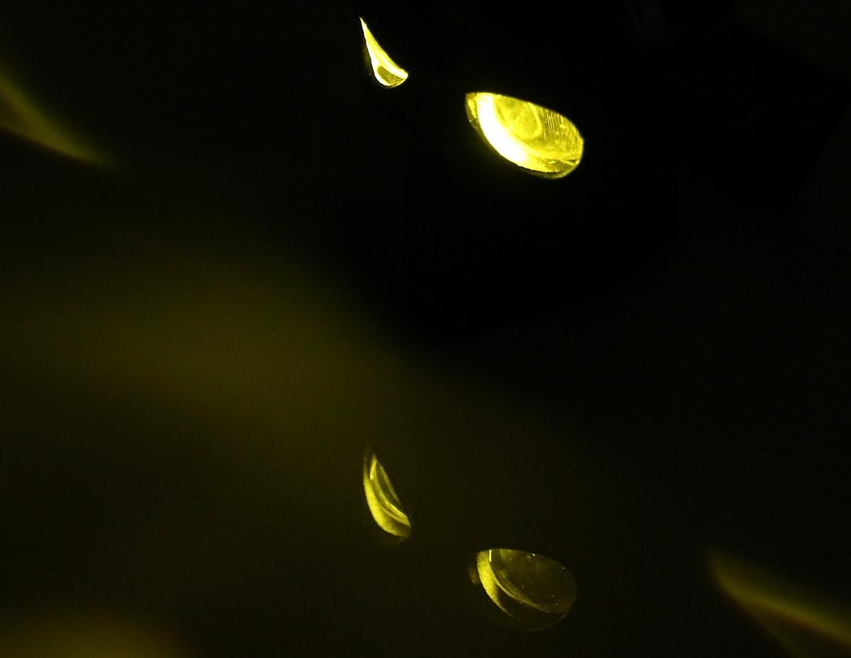 Прожектор череп для автомобиля 12 / 24 В, чёрный