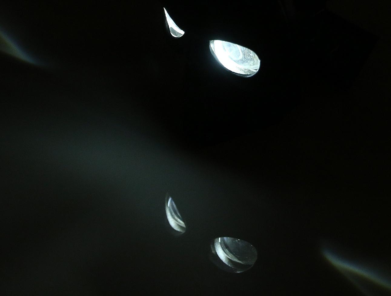 Прожектор череп для автомобиля 12 / 24 В, чёрный