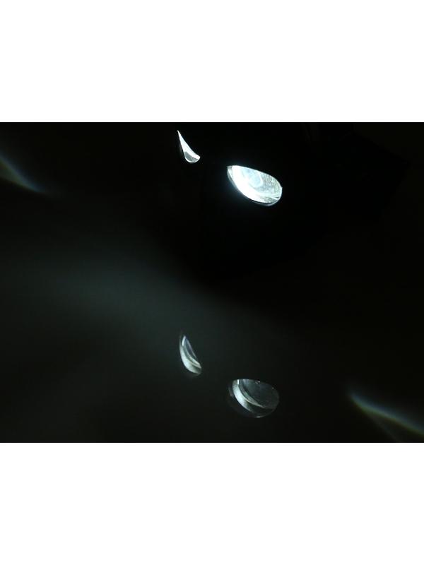 Прожектор череп для автомобиля 12 / 24 В, чёрный