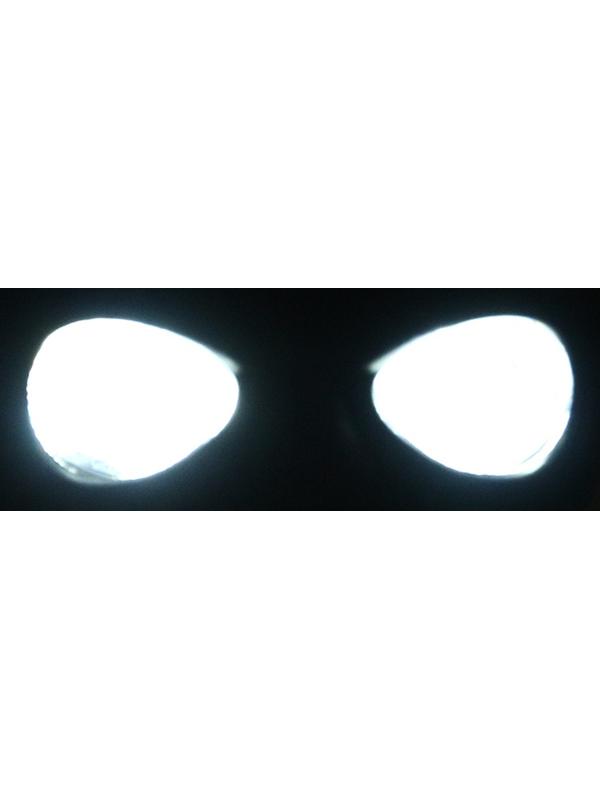 Прожектор череп для автомобиля 12 / 24 В, чёрный