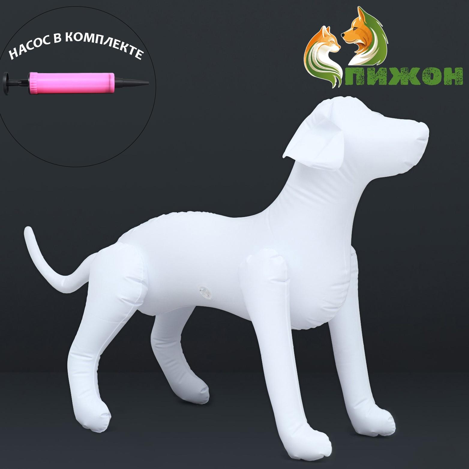 Набор: манекен надувной (белый) с насосом ручным (микс)