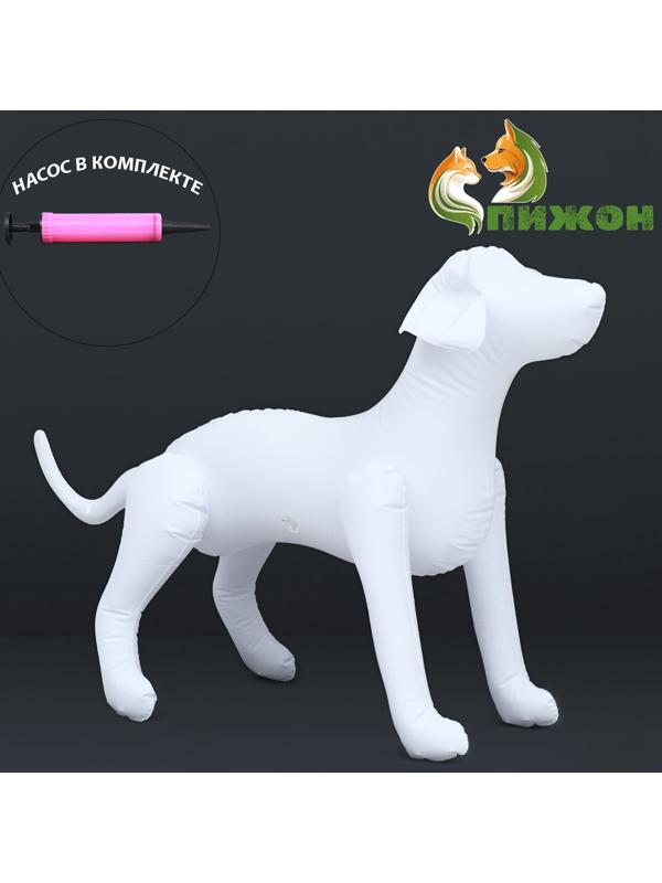 Набор: манекен надувной (белый) с насосом ручным (микс)