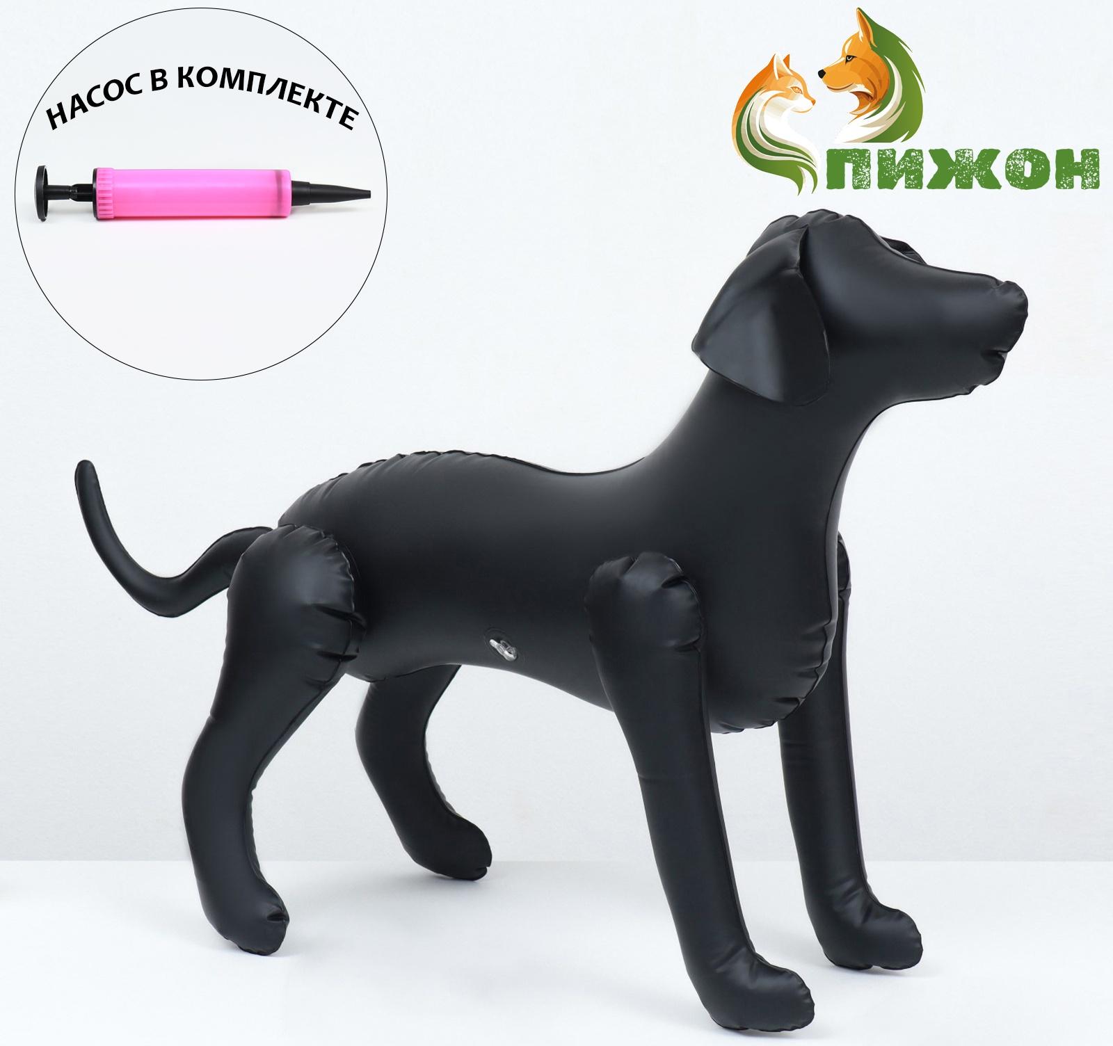 Набор: манекен надувной (чёрный) с насосом ручным (микс)