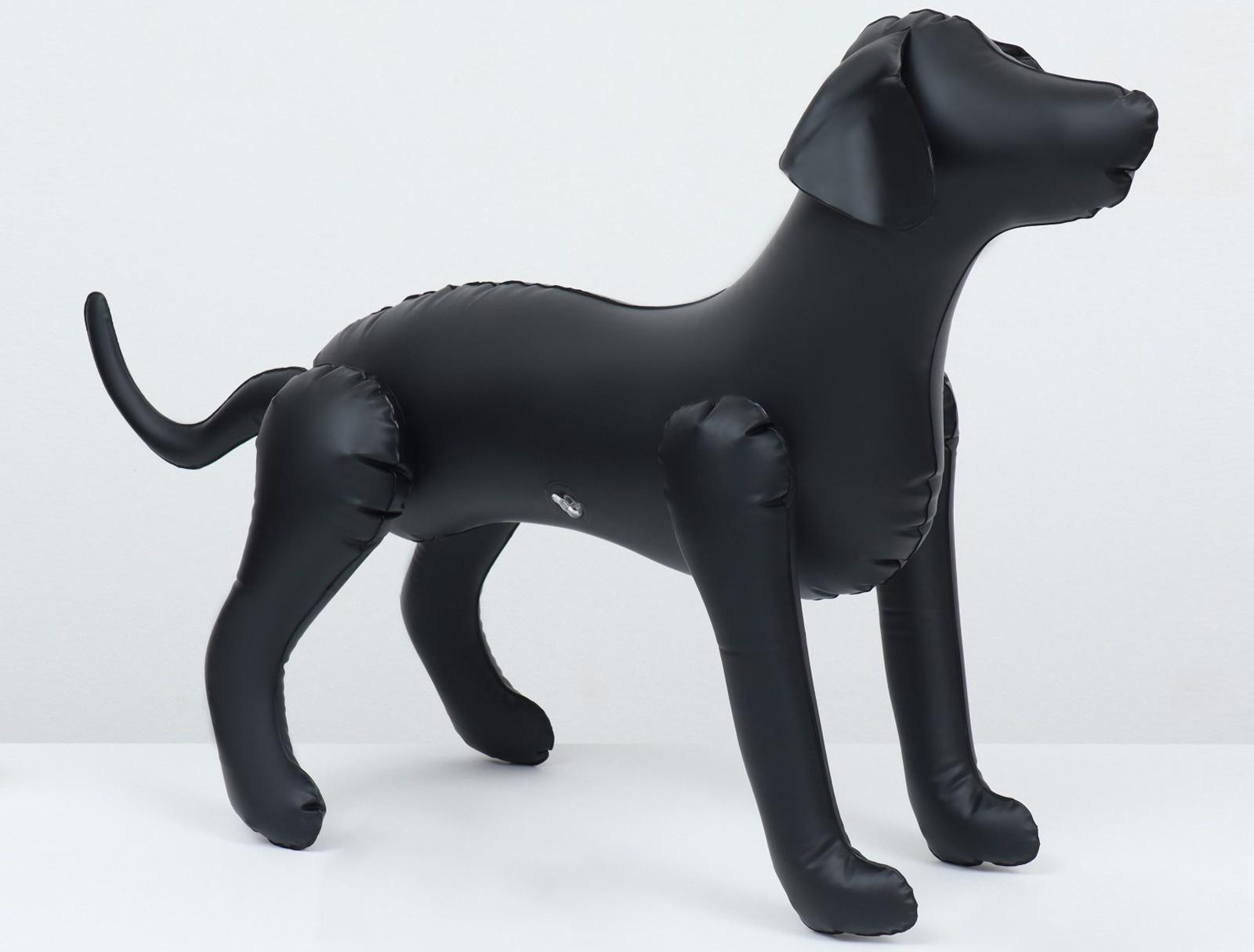 Набор: манекен надувной (чёрный) с насосом ручным (микс)