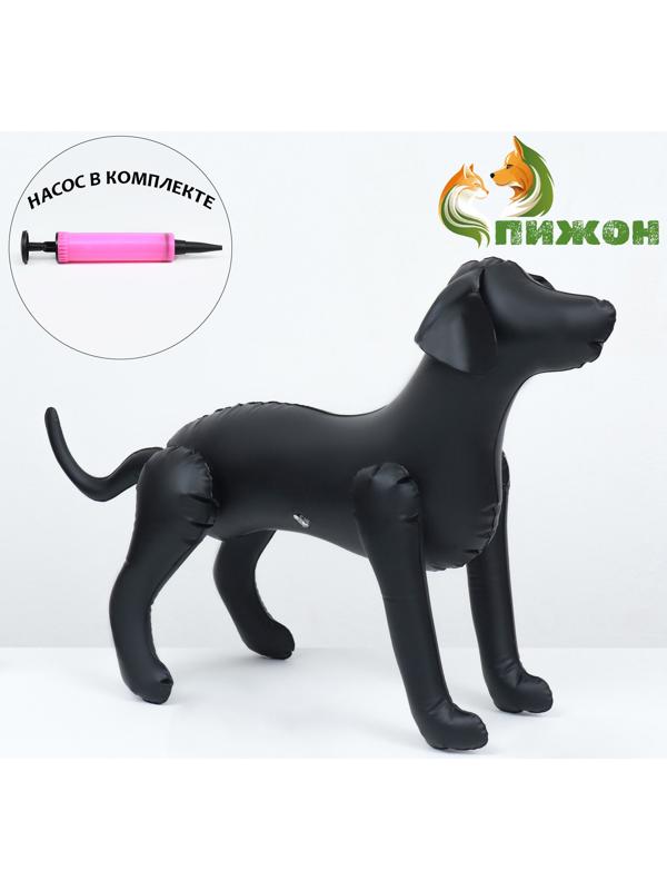 Набор: манекен надувной (чёрный) с насосом ручным (микс)