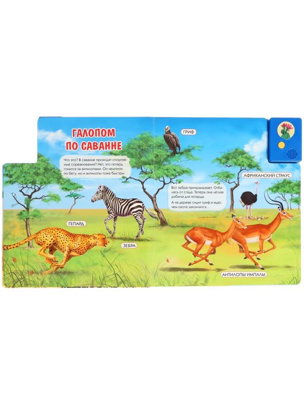 Книга музыкальная «Чей дом саванна и пустыня?», 3+