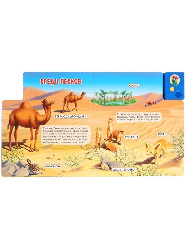 Книга музыкальная «Чей дом саванна и пустыня?», 3+