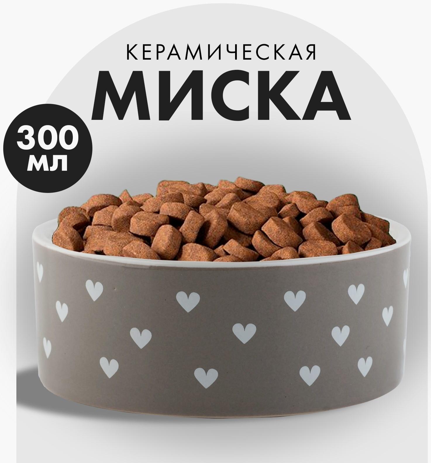 Миска керамическая «Счастье есть», 300 мл, для кошек и собак