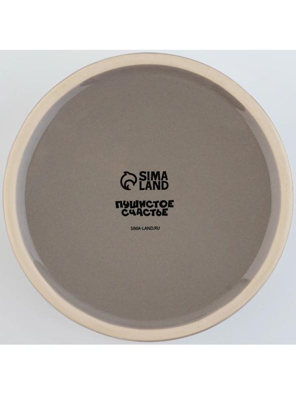 Миска керамическая «Счастье есть», 300 мл, для кошек и собак