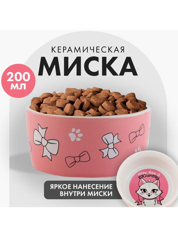 Миска керамическая CATurday, 200 мл, для кошек