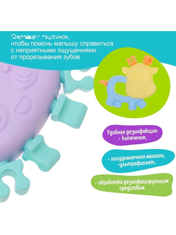 Набор прорезывателей для зубов «Забавные зверята», 4 шт.