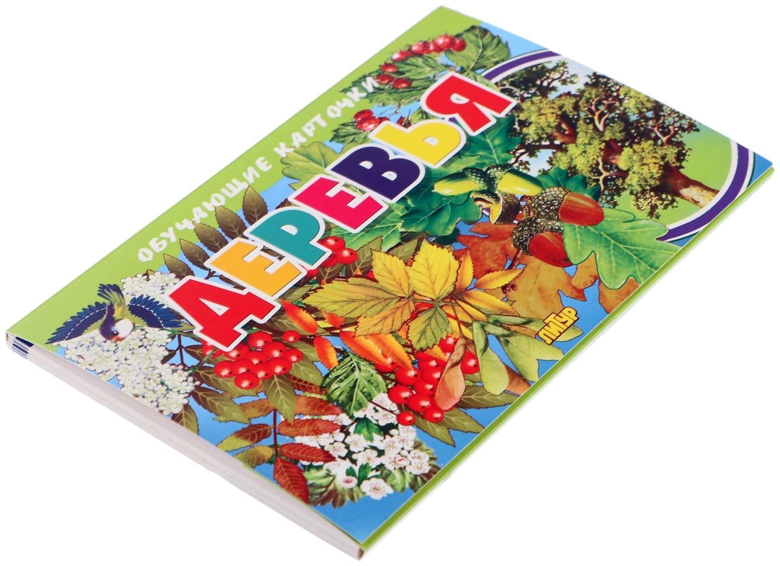 Обучающие карточки. Деревья 210109