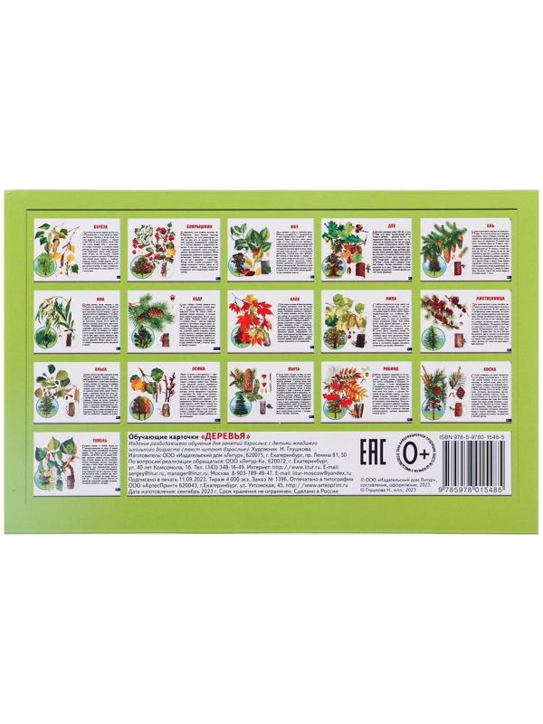 Обучающие карточки. Деревья 210109