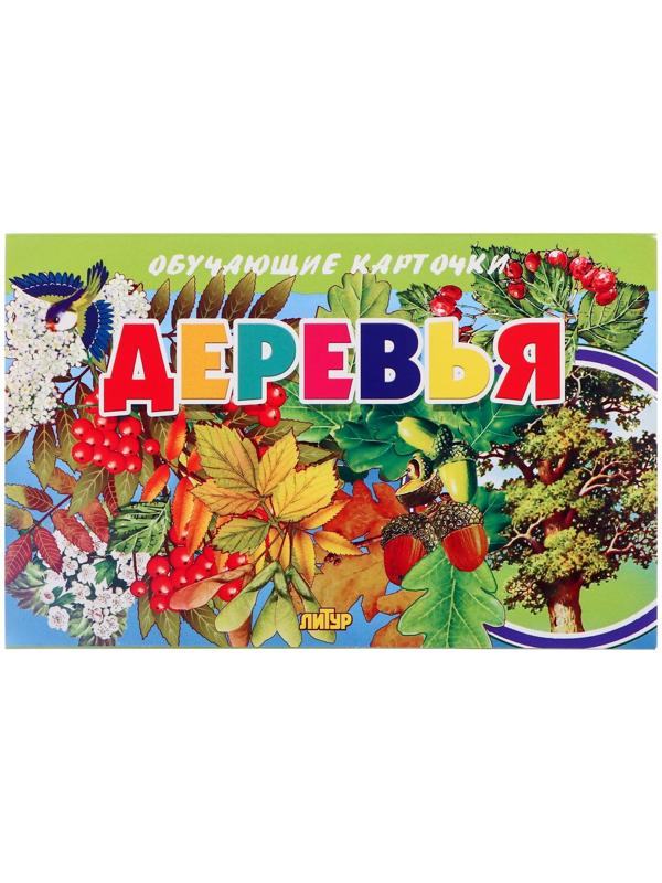 Обучающие карточки. Деревья 210109