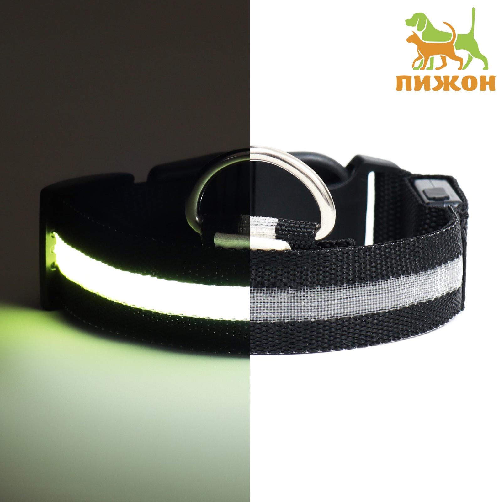 Ошейник с подсветкой, зарядка от USB, размер M, ОШ 37-46 см, 3 режима, черный