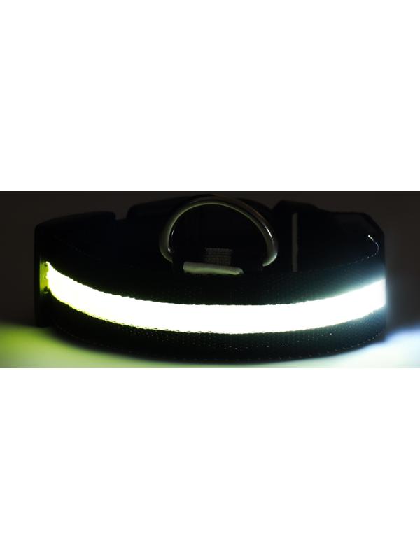 Ошейник с подсветкой, зарядка от USB, размер M, ОШ 37-46 см, 3 режима, черный