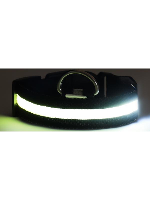 Ошейник с подсветкой, зарядка от USB, размер M, ОШ 37-46 см, 3 режима, черный