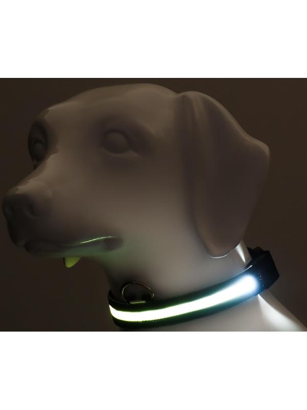 Ошейник с подсветкой, зарядка от USB, размер M, ОШ 37-46 см, 3 режима, черный