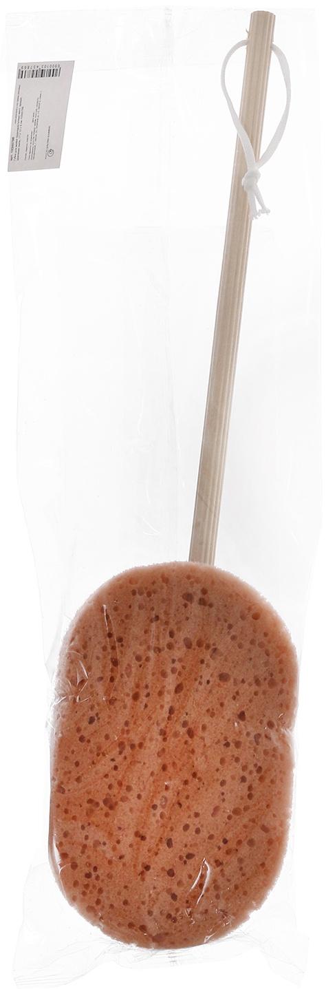 Губка для мойки труднодоступных мест, крыши, удаления пыли, 17 х 10 х 5 см