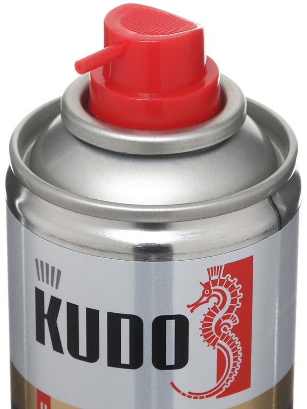 Удалитель жевательной резинки KUDO, 210 мл KU-H407