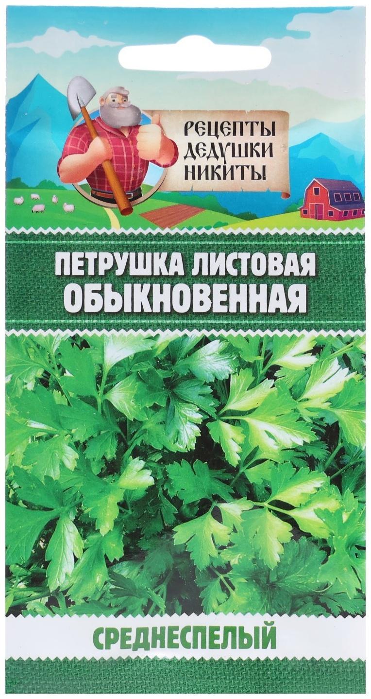 Семена Петрушка 