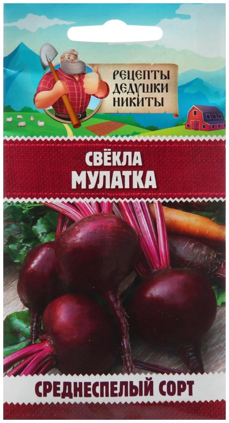 Семена Свёкла 