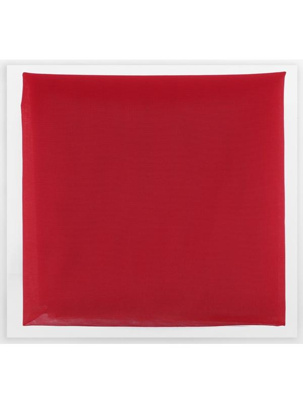 Корсетная сетка, 45 гр/кв. метр, 150 × 100±10 см, цвет красный