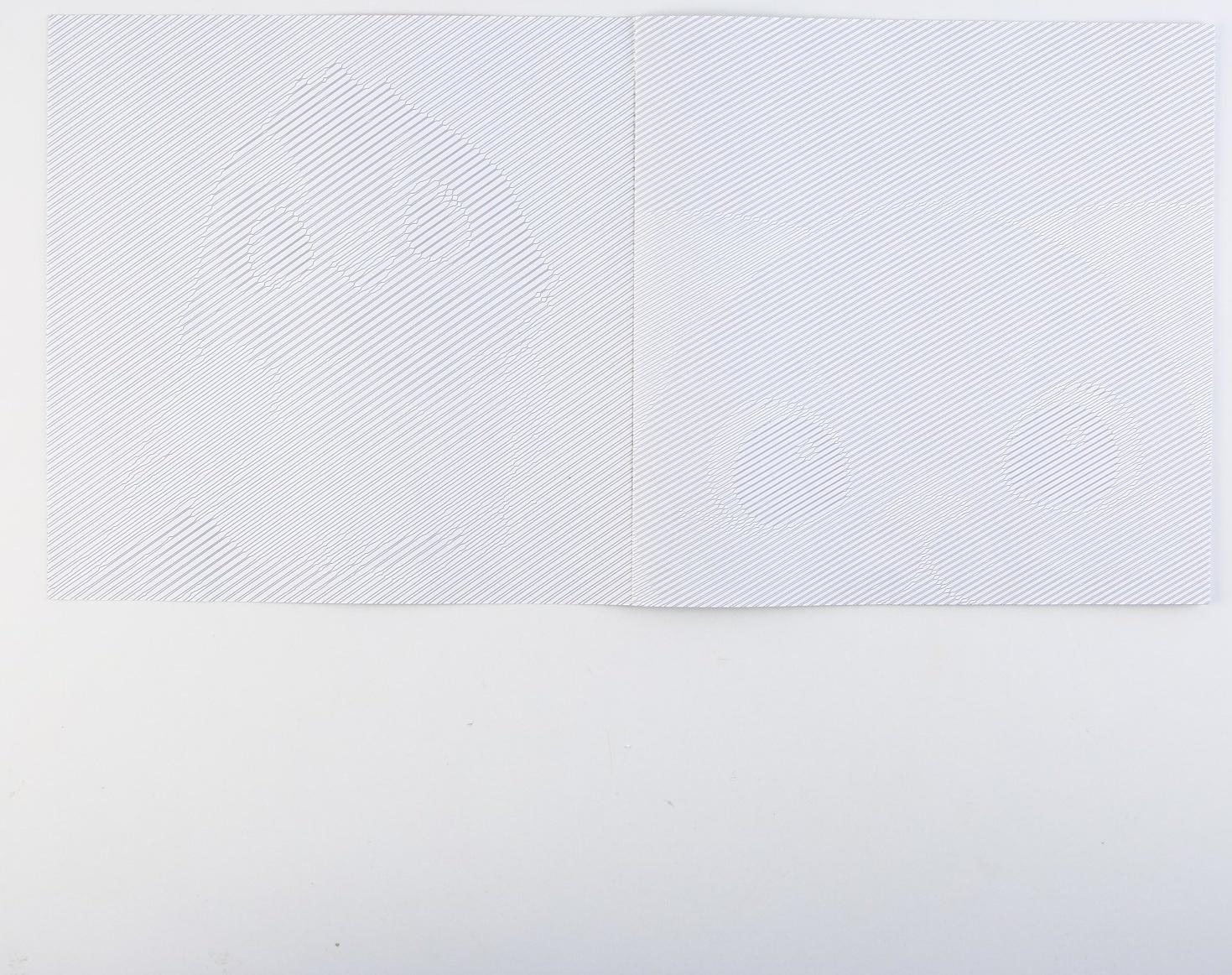 Раскраска-антистресс по полоскам «Яркие животные», 21 х 21 см