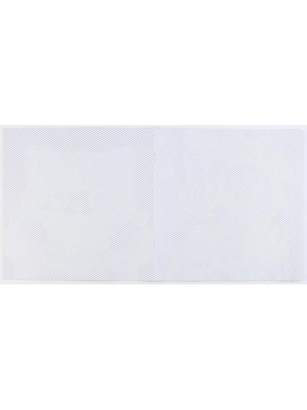 Раскраска-антистресс по полоскам «Яркие животные», 21 х 21 см