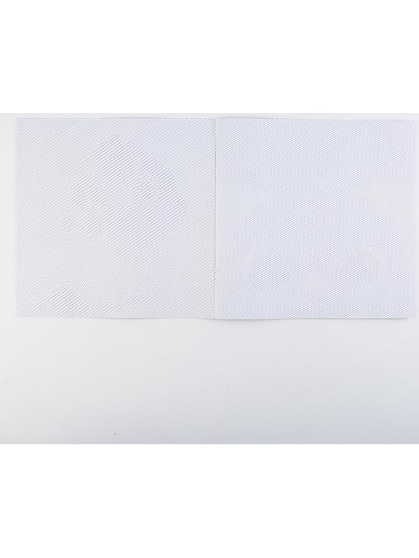 Раскраска-антистресс по полоскам «Яркие животные», 21 х 21 см