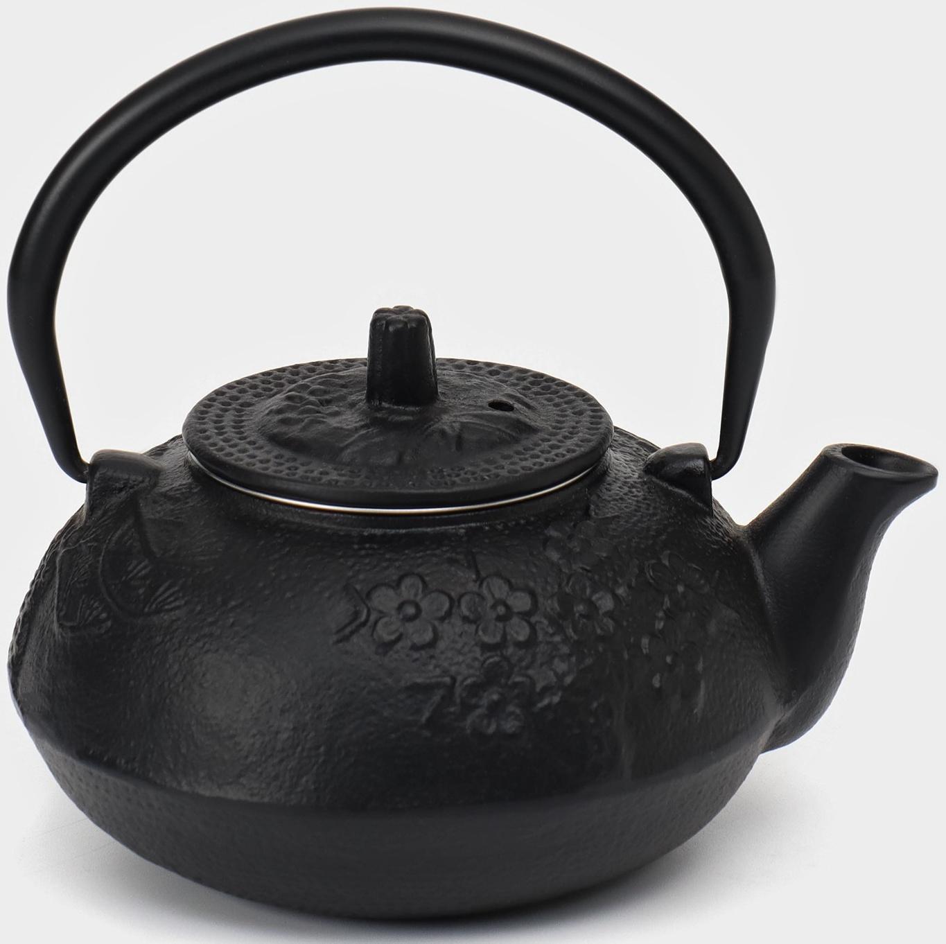 Чайник чугунный, 600 мл, с ситом, эмалированное покрытие внутри, цвет чёрный