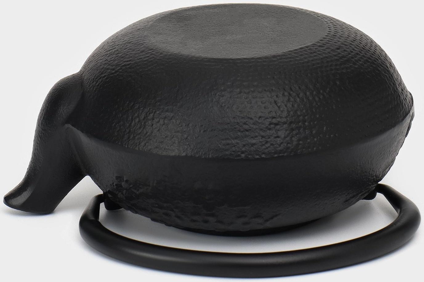 Чайник чугунный, 600 мл, с ситом, эмалированное покрытие внутри, цвет чёрный