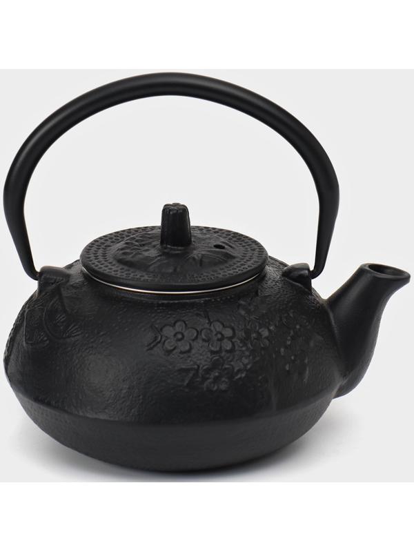 Чайник чугунный, 600 мл, с ситом, эмалированное покрытие внутри, цвет чёрный