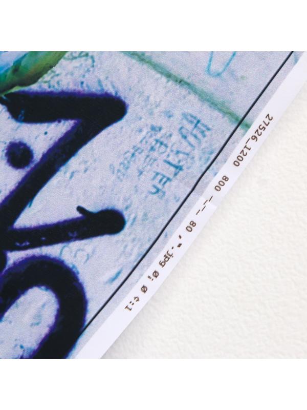 Фотофон винил 